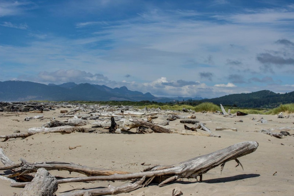 Pacific Breeze Hideaway Main image