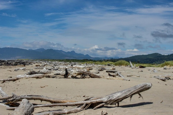 Pacific Breeze Hideaway Main image