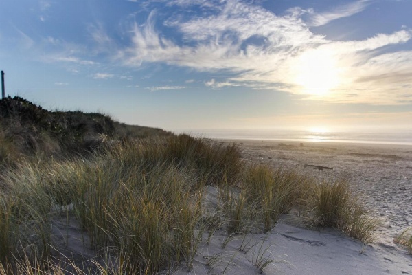 Pacific Breeze Hideaway image 5