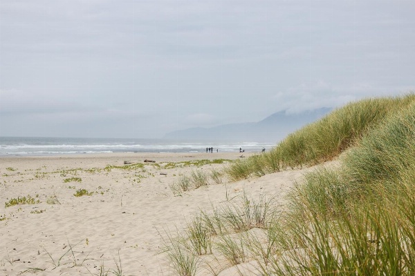 Pacific Breeze Hideaway image 7