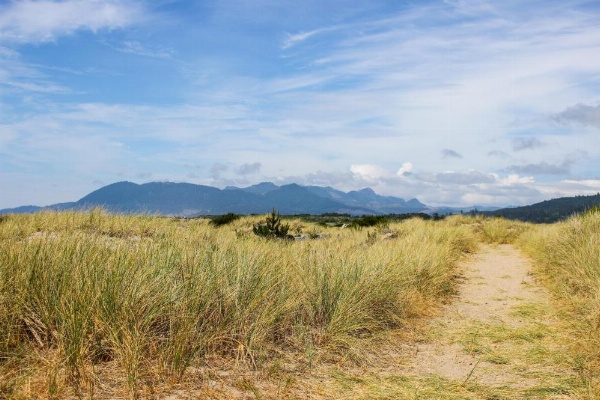 Pacific Breeze Hideaway image 8